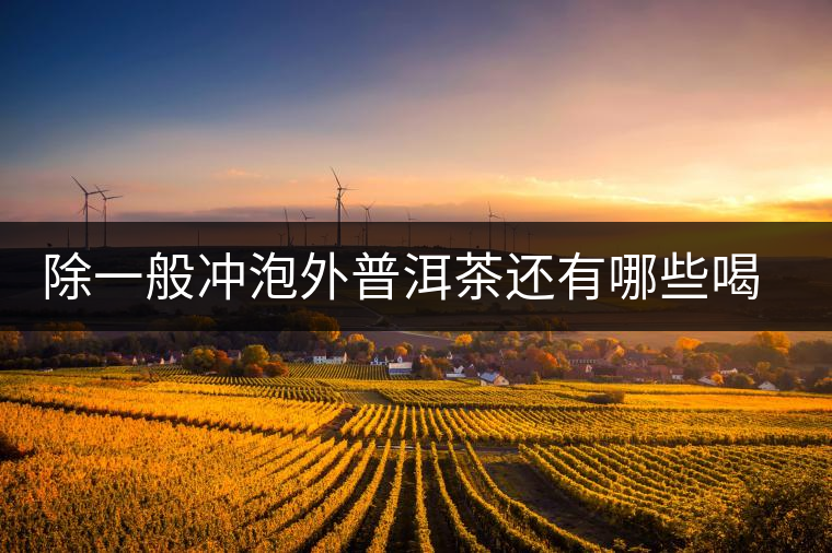 除一般沖泡外普洱茶還有哪些喝法？