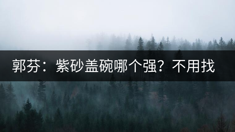 郭芬：紫砂蓋碗哪個(gè)強(qiáng)？不用找藍(lán)翔