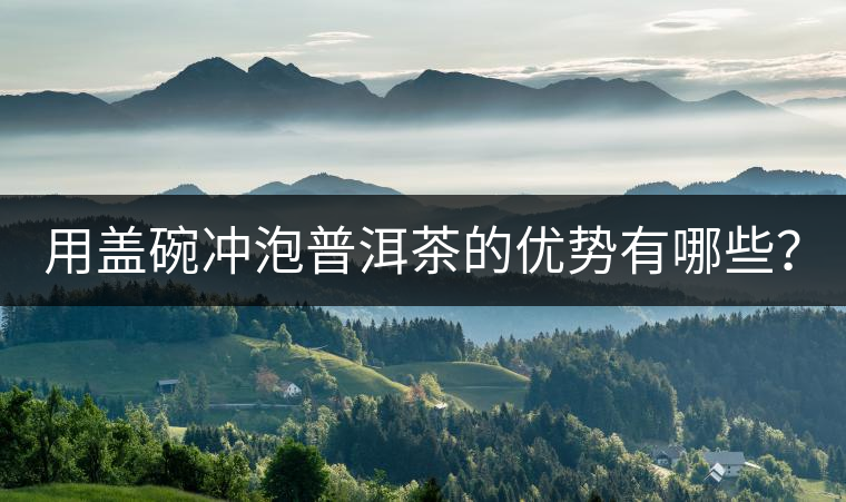 用蓋碗沖泡普洱茶的優(yōu)勢(shì)有哪些？