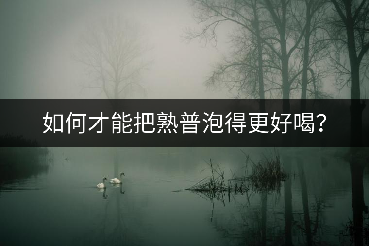 如何才能把熟普泡得更好喝？