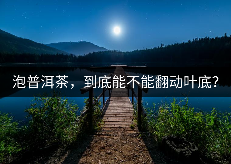 泡普洱茶，到底能不能翻動(dòng)葉底？