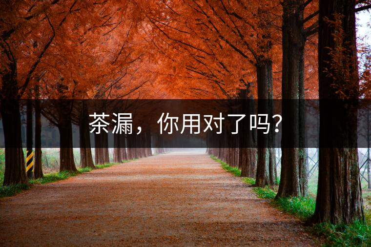 茶漏，你用對(duì)了嗎？