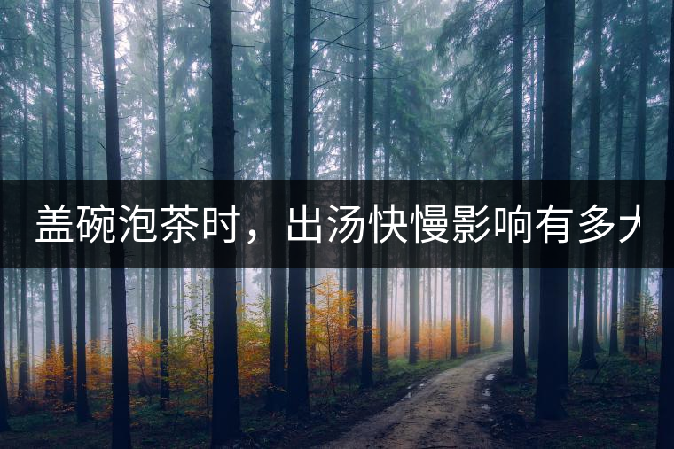 蓋碗泡茶時，出湯快慢影響有多大？