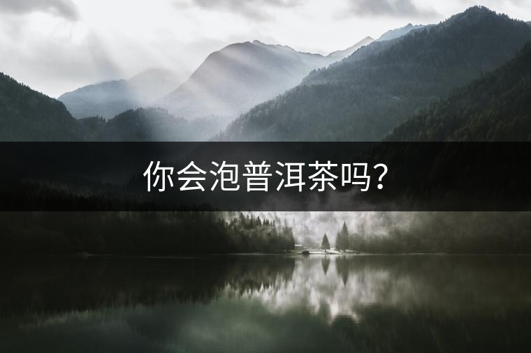 你會(huì)泡普洱茶嗎？