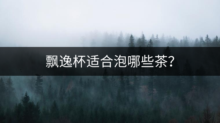 飄逸杯適合泡哪些茶？