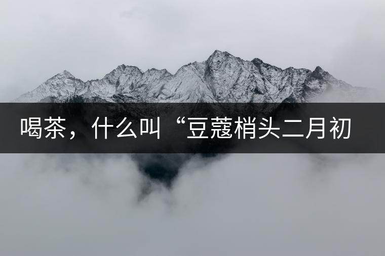 喝茶，什么叫“豆蔻梢頭二月初”？
