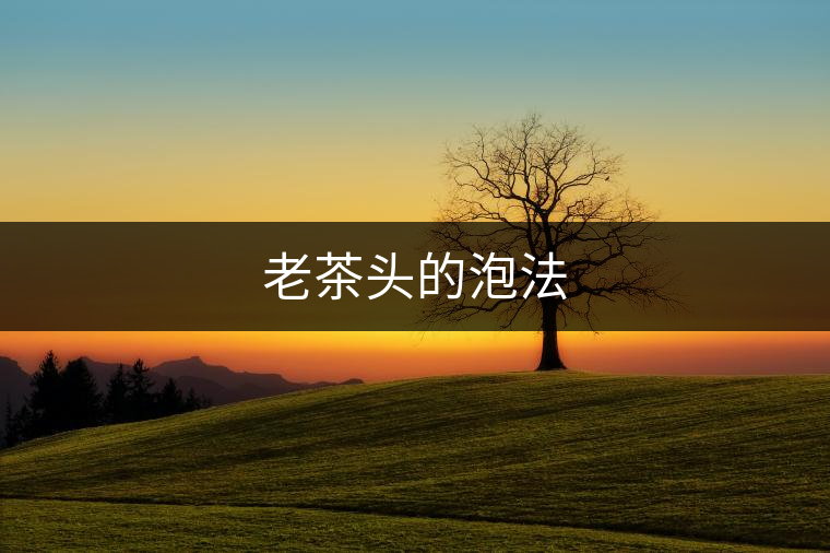 老茶頭的泡法