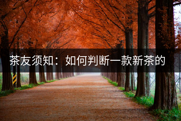 茶友須知：如何判斷一款新茶的陳化潛力？