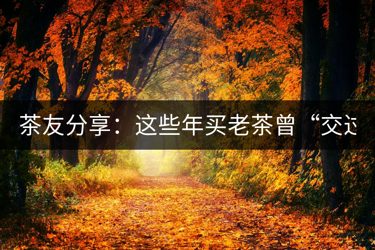 茶友分享：這些年買老茶曾“交過的學(xué)費”