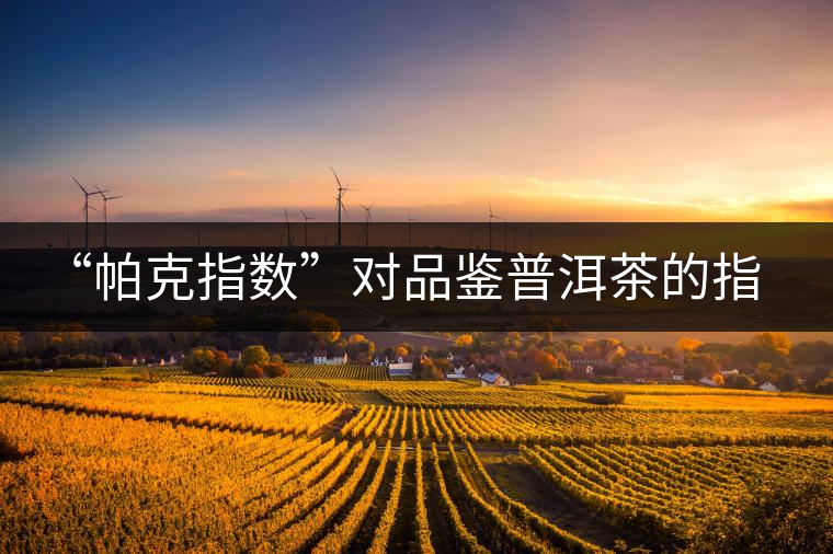 “帕克指數(shù)”對品鑒普洱茶的指導(dǎo)意義在哪里？「跨界有道」