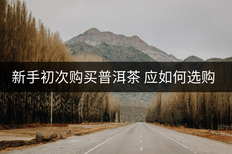 新手初次購(gòu)買普洱茶 應(yīng)如何選購(gòu)？