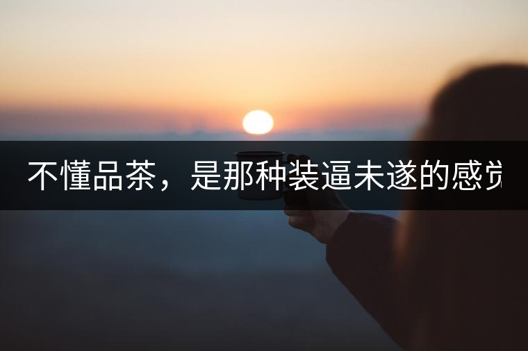 不懂品茶，是那種裝逼未遂的感覺？