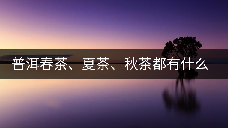 普洱春茶、夏茶、秋茶都有什么特點？