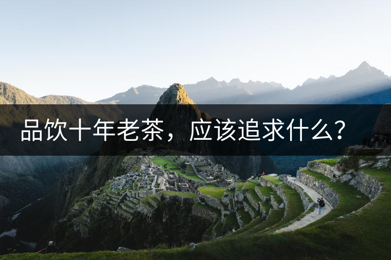 品飲十年老茶，應(yīng)該追求什么？滋味還是故事？