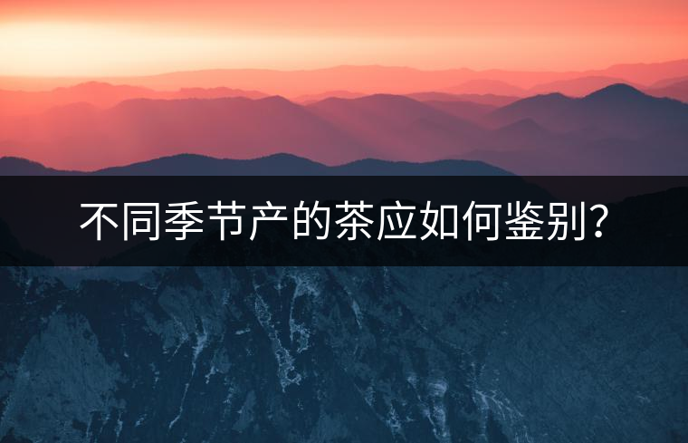 不同季節(jié)產(chǎn)的茶應(yīng)如何鑒別？