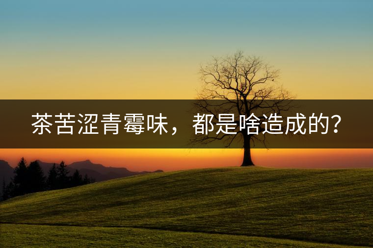 茶苦澀青霉味，都是啥造成的？