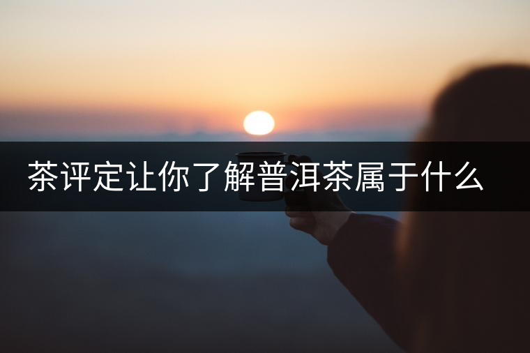 茶評(píng)定讓你了解普洱茶屬于什么茶系？