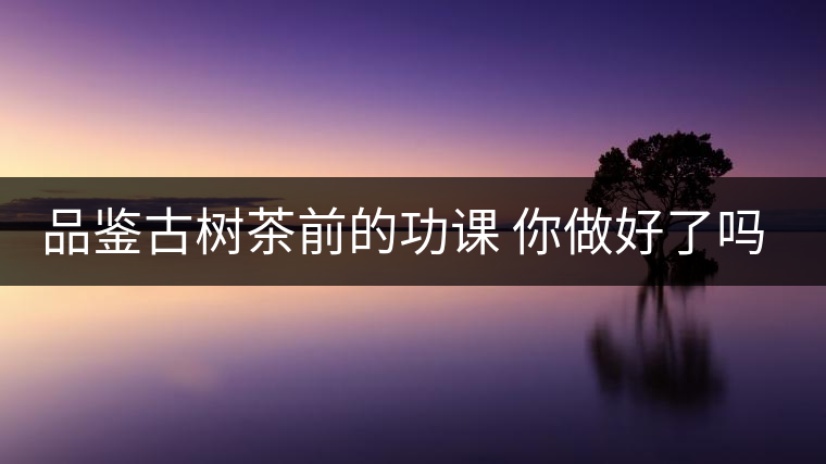 品鑒古樹茶前的功課 你做好了嗎？