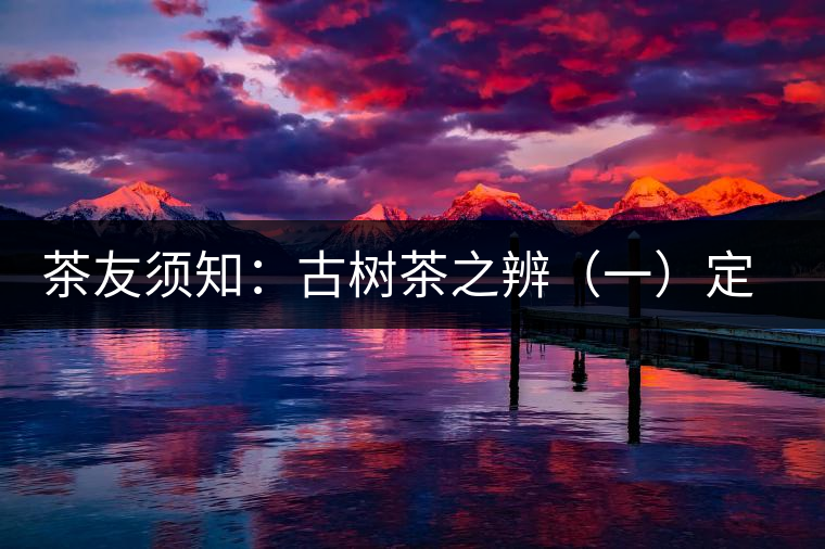 茶友須知：古樹茶之辨（一）定義厘清