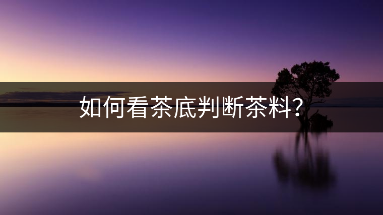 如何看茶底判斷茶料？
