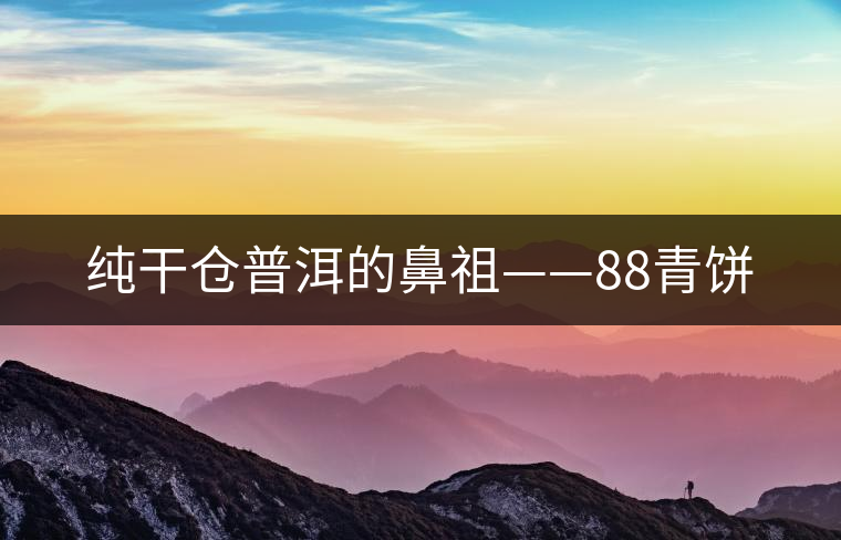 純干倉(cāng)普洱的鼻祖——88青餅