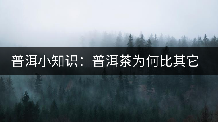 普洱小知識(shí)：普洱茶為何比其它茶葉耐泡？