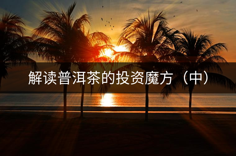 解讀普洱茶的投資魔方（中）