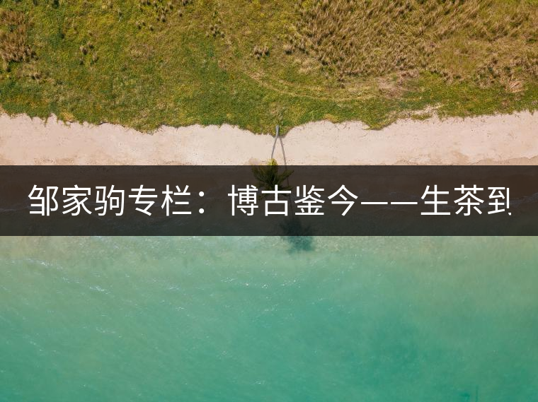 鄒家駒專欄：博古鑒今——生茶到底是不是普洱茶？