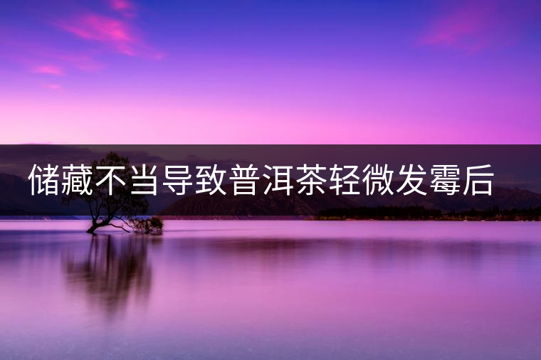 儲(chǔ)藏不當(dāng)導(dǎo)致普洱茶輕微發(fā)霉后如何處理？