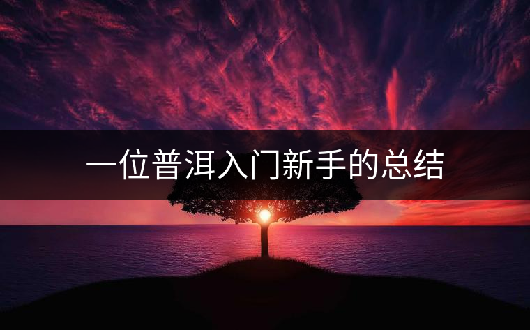 一位普洱入門新手的總結