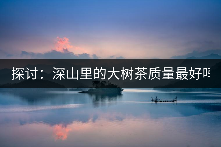 探討：深山里的大樹茶質(zhì)量最好嗎？