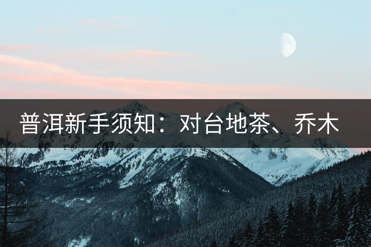 普洱新手須知：對(duì)臺(tái)地茶、喬木茶、古樹茶的簡(jiǎn)易理解