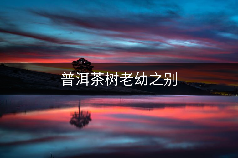 普洱茶樹(shù)老幼之別 普洱茶樹(shù)老幼之別