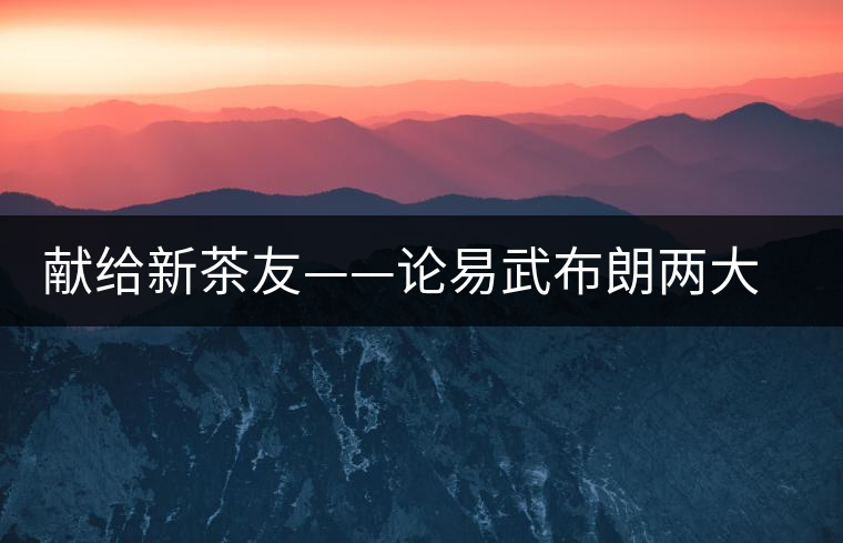 獻(xiàn)給新茶友——論易武布朗兩大風(fēng)格