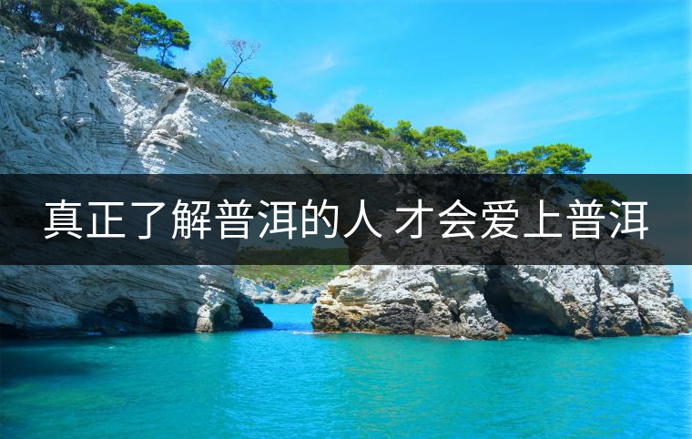 真正了解普洱的人 才會(huì)愛上普洱 真正了解普洱的人 才會(huì)愛上普洱