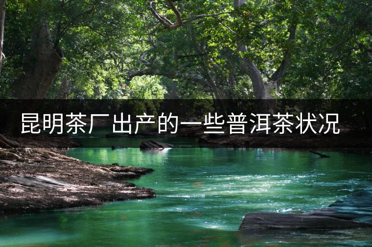 昆明茶廠出產(chǎn)的一些普洱茶狀況是怎樣？