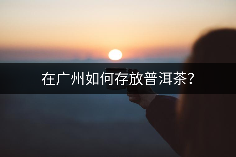 在廣州如何存放普洱茶？