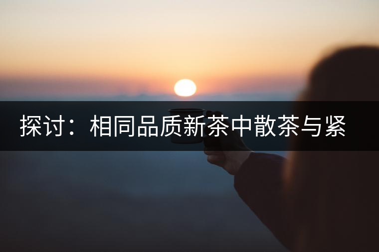 探討：相同品質(zhì)新茶中散茶與緊壓茶哪個好？