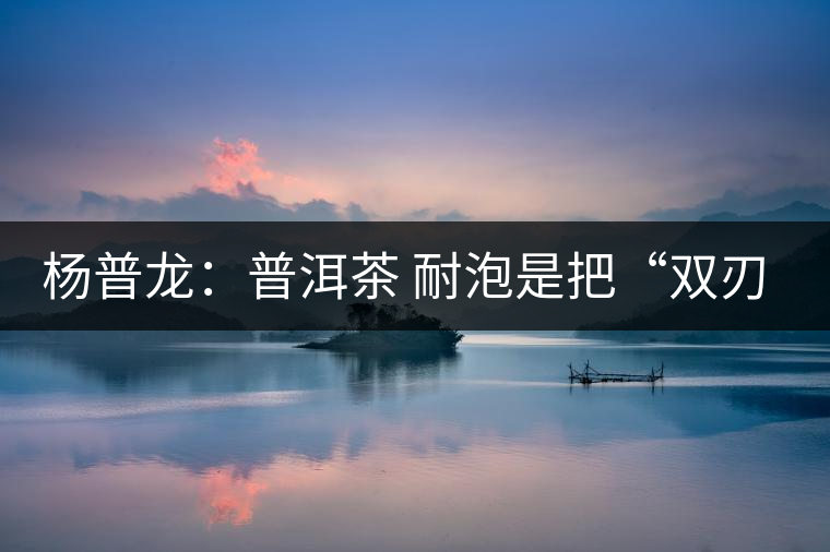 楊普龍:普洱茶 耐泡是把“雙刃劍” 楊普龍:普洱茶 耐泡是把“雙刃劍”