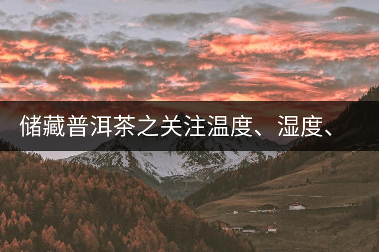 儲藏普洱茶之關(guān)注溫度、濕度、異味因素影響