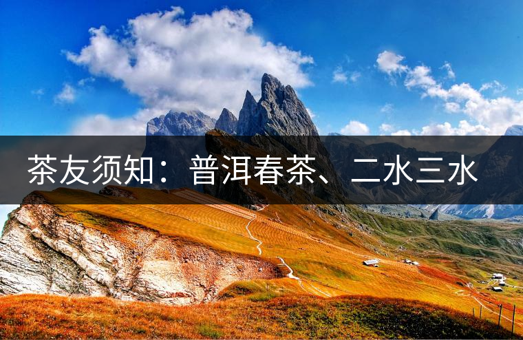 茶友須知：普洱春茶、二水三水茶和谷花茶