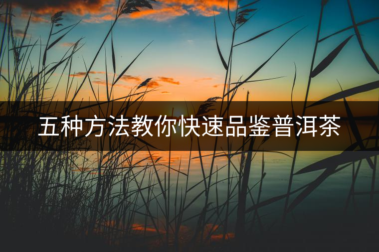 五種方法教你快速品鑒普洱茶