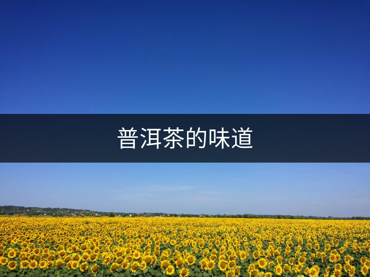 普洱茶的味道 普洱茶的味道