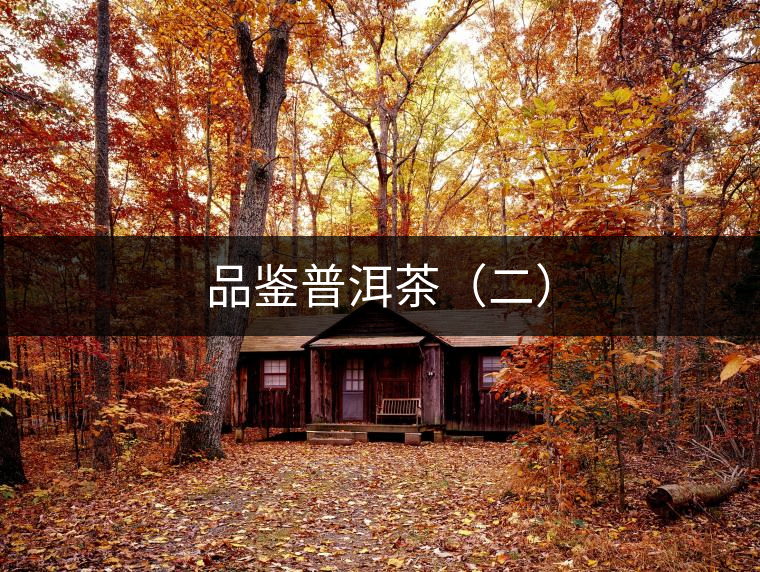 品鑒普洱茶（二）