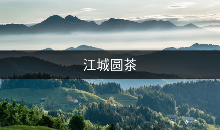 江城圓茶
