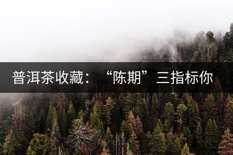 普洱茶收藏：“陳期”三指標你知道嗎？
