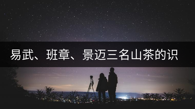 易武、班章、景邁三名山茶的識(shí)別