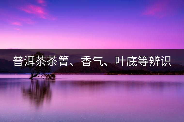 普洱茶茶箐、香氣、葉底等辨識(shí)