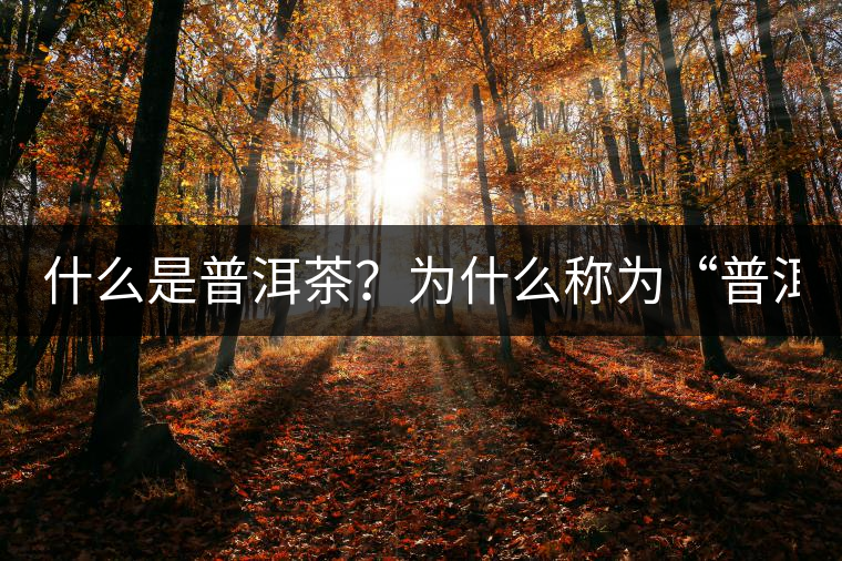 什么是普洱茶？為什么稱(chēng)為“普洱”？