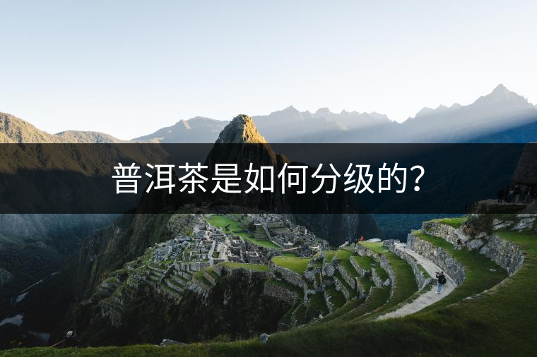 普洱茶是如何分級(jí)的？